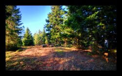 En haut du Pirronsberg En haut du Pirronsberg