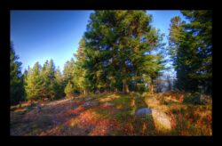 En haut du Pirronsberg