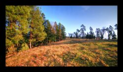 Prairie au pied du Pirronsberg