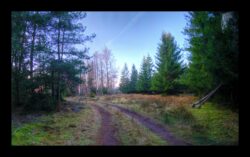 En haut du Meyersberg