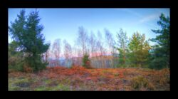 En haut du Meyersberg