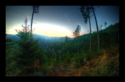 Sur la route forestière des Pins, retour à Petersmuehl