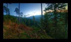 Sur la route forestière des Pins, retour à Petersmuehl