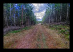 En montant vers le Feuerstein