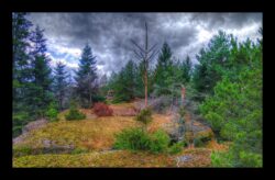 Sommet du Feuerstein