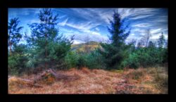 Au sommet du Feuerstein. Vue vers l'est