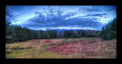 Prairie "de chasse" vers l'Hauenthal