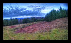 Prairie "de chasse" vers l'Hauenthal