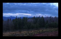 Prairie "de chasse" vers l'Hauenthal. Le rocher de Dabo au fond à gauche