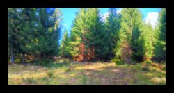 En montant vers le Ludwigsberg