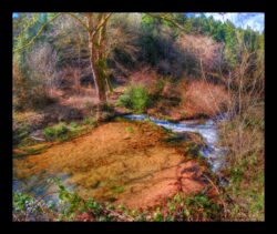 La Zorn en bas du vallon du Hauenthal