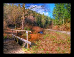 La Zorn en bas du vallon du Hauenthal