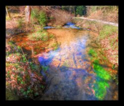 La Zorn en bas du vallon du Hauenthal