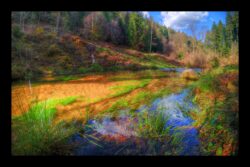 Zorn Blanche ou Zorn Jaune ? La réponse est facile