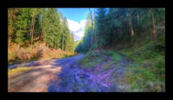 On quitte la route de la Zorn pour monter ce sentier