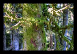 Au sommet du Grossmann