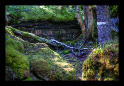 Au sommet du Grossmann