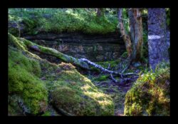 Au sommet du Grossmann