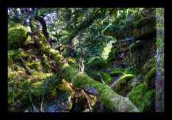 Au sommet du Grossmann