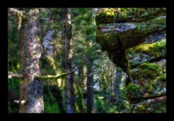 Au sommet du Grossmann