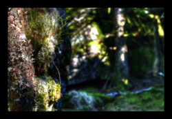 Au sommet du Grossmann