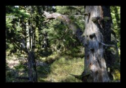 Au sommet du Grossmann