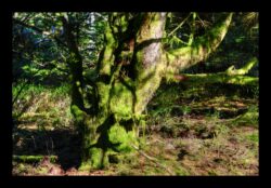 Au sommet du Grossmann