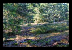 Au sommet du Grossmann