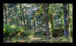 Au sommet du Grossmann