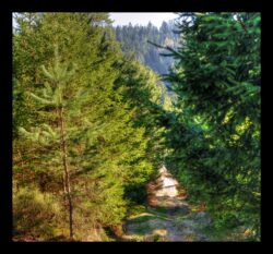 En descendant vers Altmatt depuis le Grossmann