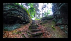 Montée au sommet du Sickertkopf