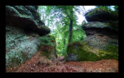 Montée au sommet du Sickertkopf