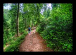 GR53 - Descente vers Tiefenthal