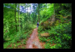 GR53 - Descente vers Tiefenthal