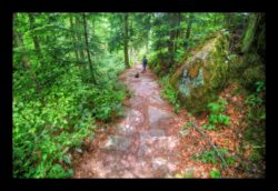 GR53 - Descente vers Tiefenthal