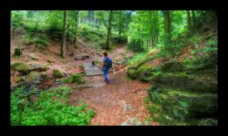 GR53 - Tiefenthal