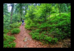 Montée vers Barbelsahn