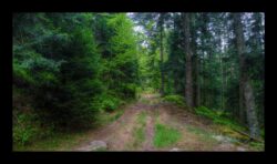 Montée vers Himbeerfels