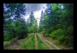 Montée vers Himbeerfels