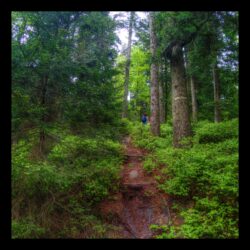 Montée vers Himbeerfels