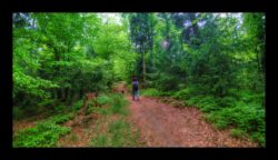 Vers Himbeerfels