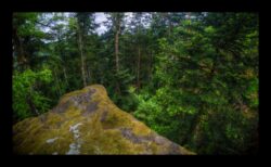 Himbeerfels