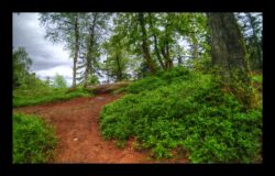 Himbeerfels