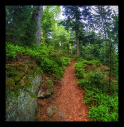 En allant vers Eichelkopf depuis Himbeerfels