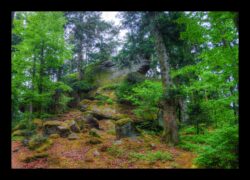 Montée vers l'Eichelkopf