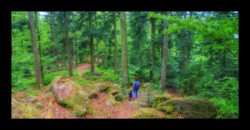 Eichelkopf