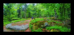 Sur l'Eichelkopf