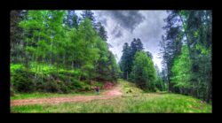 La route forestière Langwand remplace le joli sentier