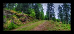 Vers le haut de la route forestière Langwand