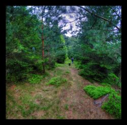 Début de la descente vers Petersmuehl